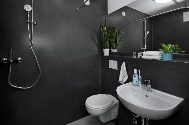 Bath/Shower WC Bath/Shower WC