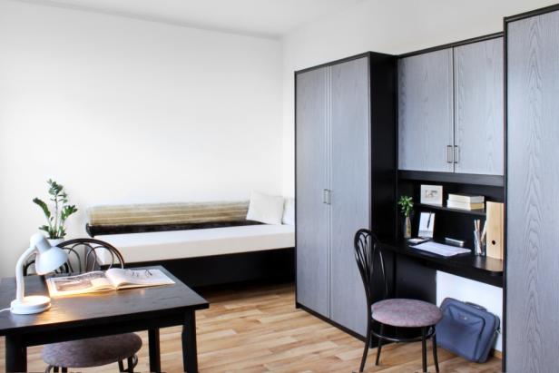 Wohn-/Schlafzimmer Wohn-/Schlafzimmer