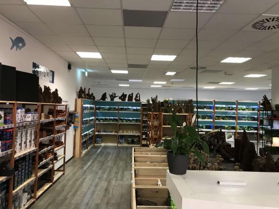 Innenansicht Innenansicht