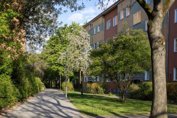 Falkenhagener Feld Falkenhagener Feld