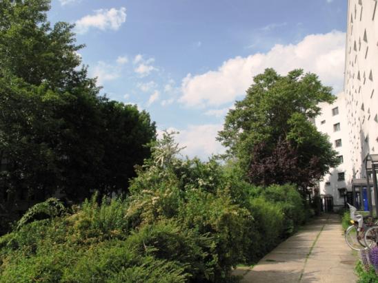 gepflegtes Wohnumfeld gepflegtes Wohnumfeld